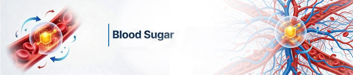 Blood sugar health illustration showing glucose regulation and insulin balance in the human body