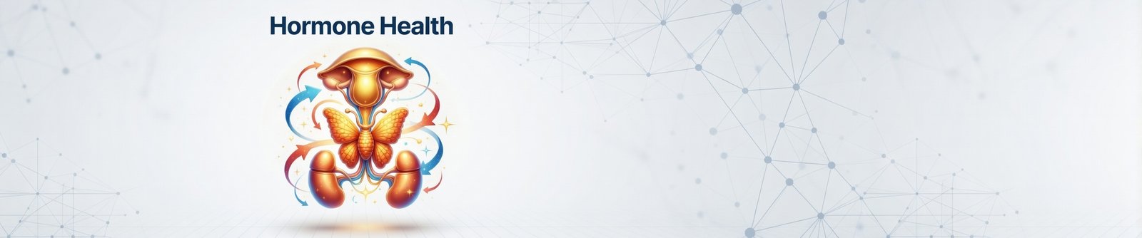 Hormone health illustration showing the endocrine system and hormonal balance in the human body