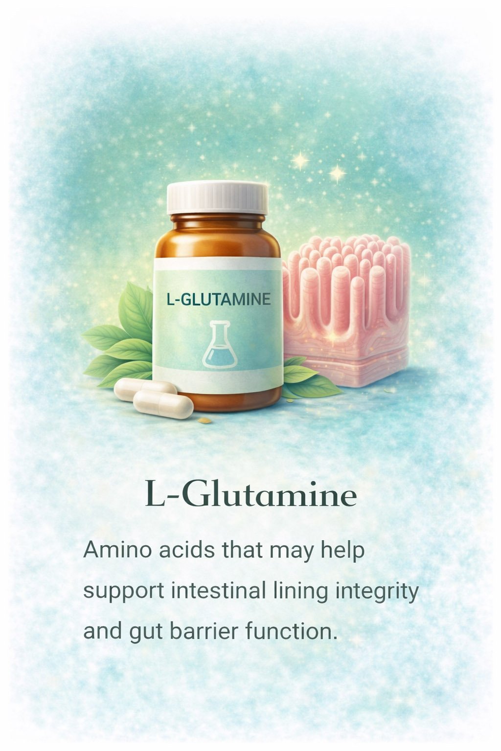 L-glutamine supplement supporting gut lining integrity, intestinal health and digestive function